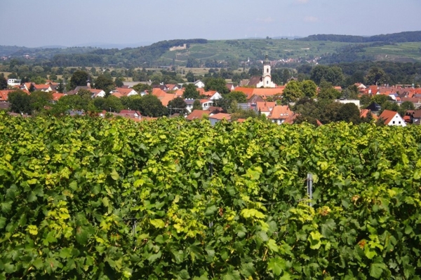 Hotel Riegeler Hof (Riegel am Kaiserstuhl)